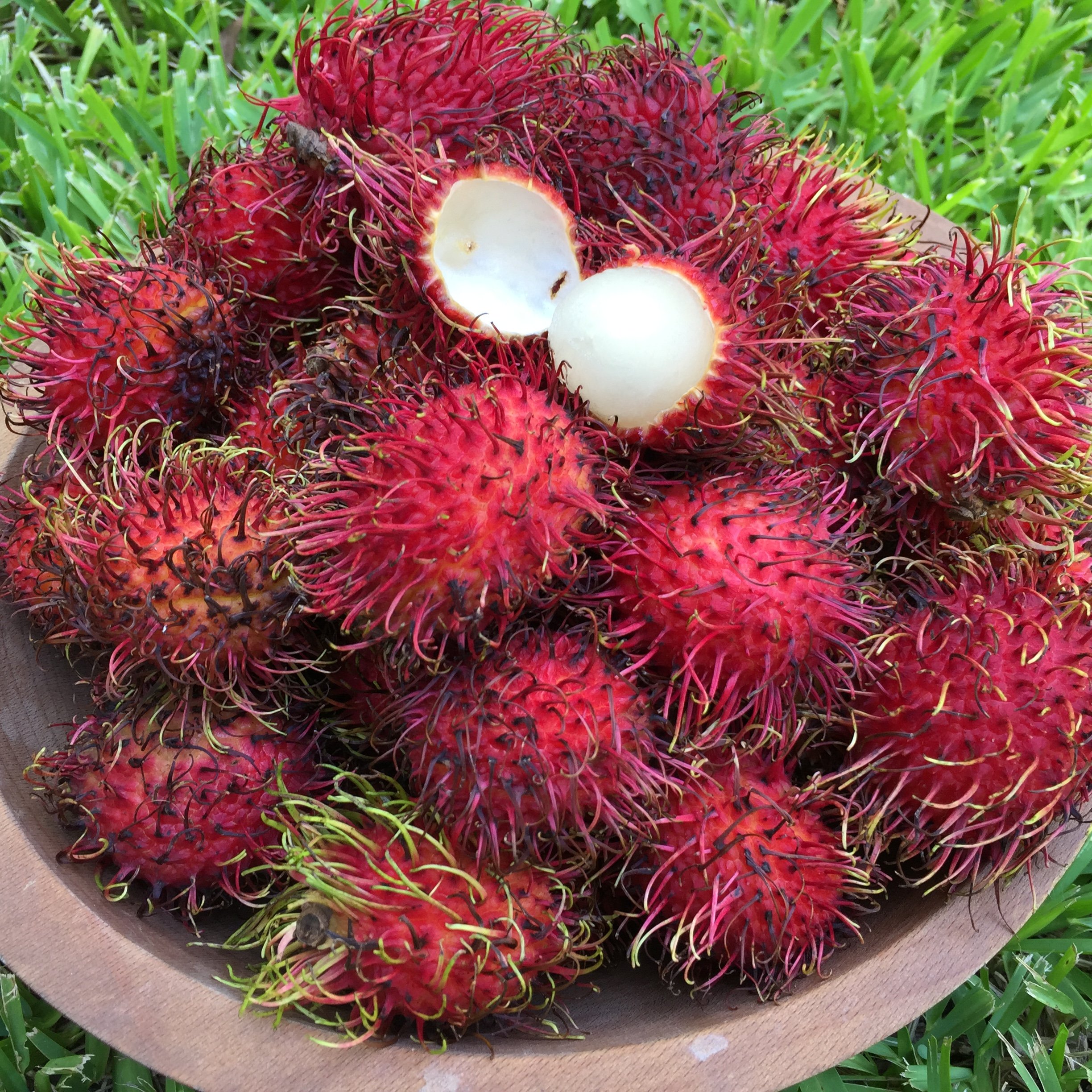 菲律賓美食攻略-菲律賓水果推薦懶人包整理 附水果價格，當季水果怎麼挑？ @東南亞投資報告
