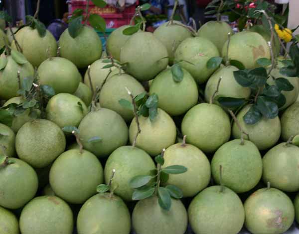 緬甸美食攻略懶人包-緬甸水果怎麼挑？（附完整水果價格推薦） @東南亞投資報告